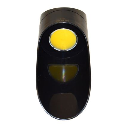 LED sieninis šviestuvas, įkraunamas saulės energija PALESA LED/1W/3,7V IP65 1800 mAh juoda