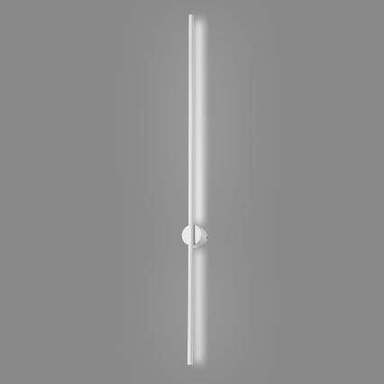LED sieninis šviestuvas LANA LED/12W/230V 4000K balta
