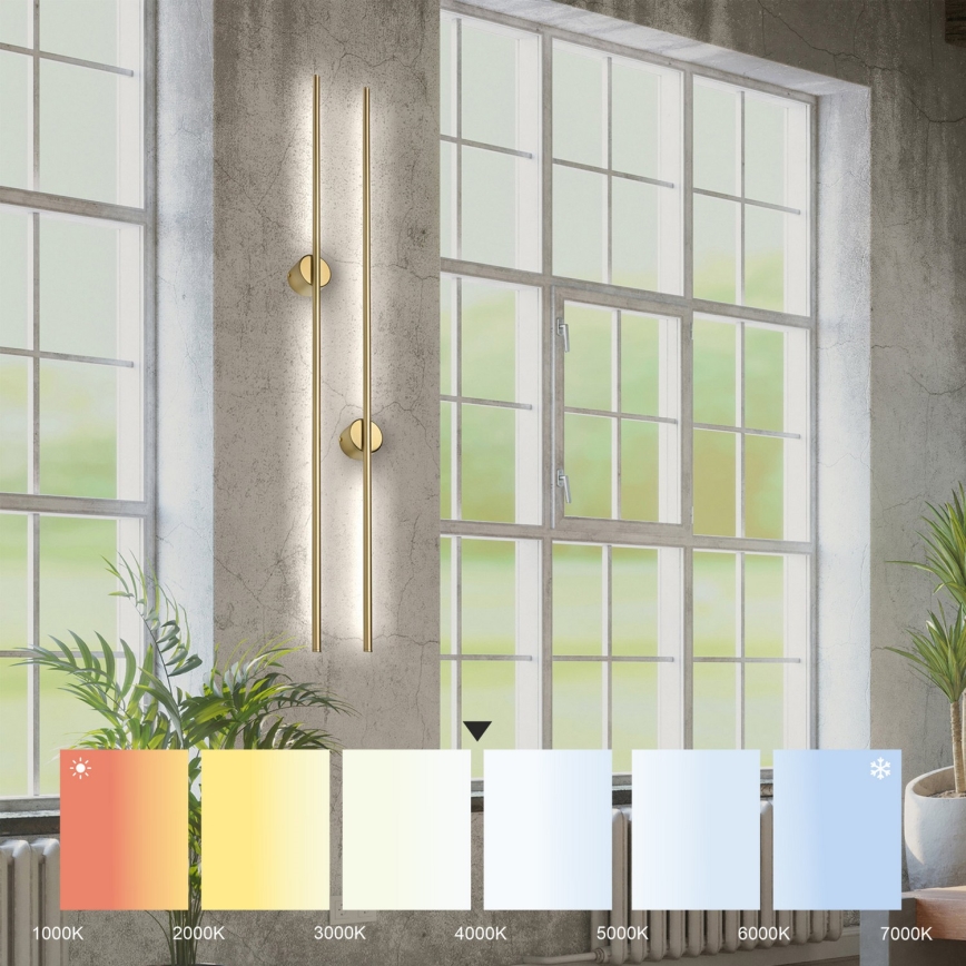 LED sieninis šviestuvas LANA LED/12W/230V 4000K matinė auksinė