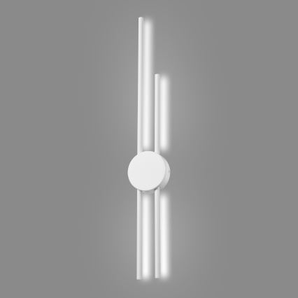 LED sieninis šviestuvas LANA LED/15W/230V 4000K balta