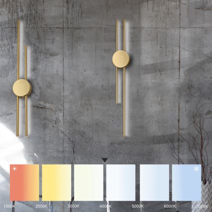 LED sieninis šviestuvas LANA LED/15W/230V 4000K matinė auksinė