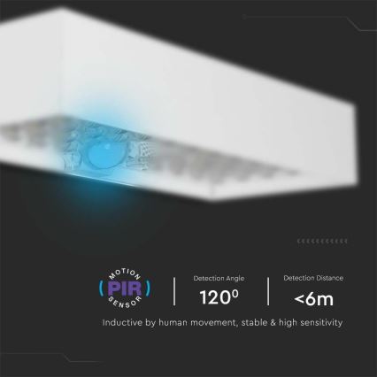 LED sieninis šviestuvas su jutikliu, įkraunamas saulės energija LED/6W/3,7V IP65 4000K 3000 mAh balta