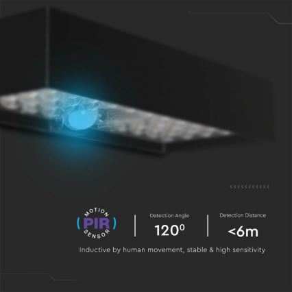 LED sieninis šviestuvas su jutikliu, įkraunamas saulės energija LED/6W/3,7V IP65 4000K 3000 mAh juoda