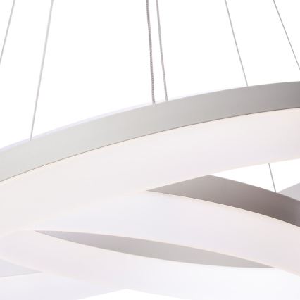 LED sietynas ant grandinės RING su nuotoliniu valdymu LED/60W/230V