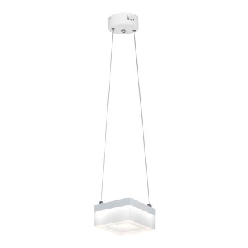 LED sietynas, kabinamas ant virvės CUBO LED/12W/230V kvadratas