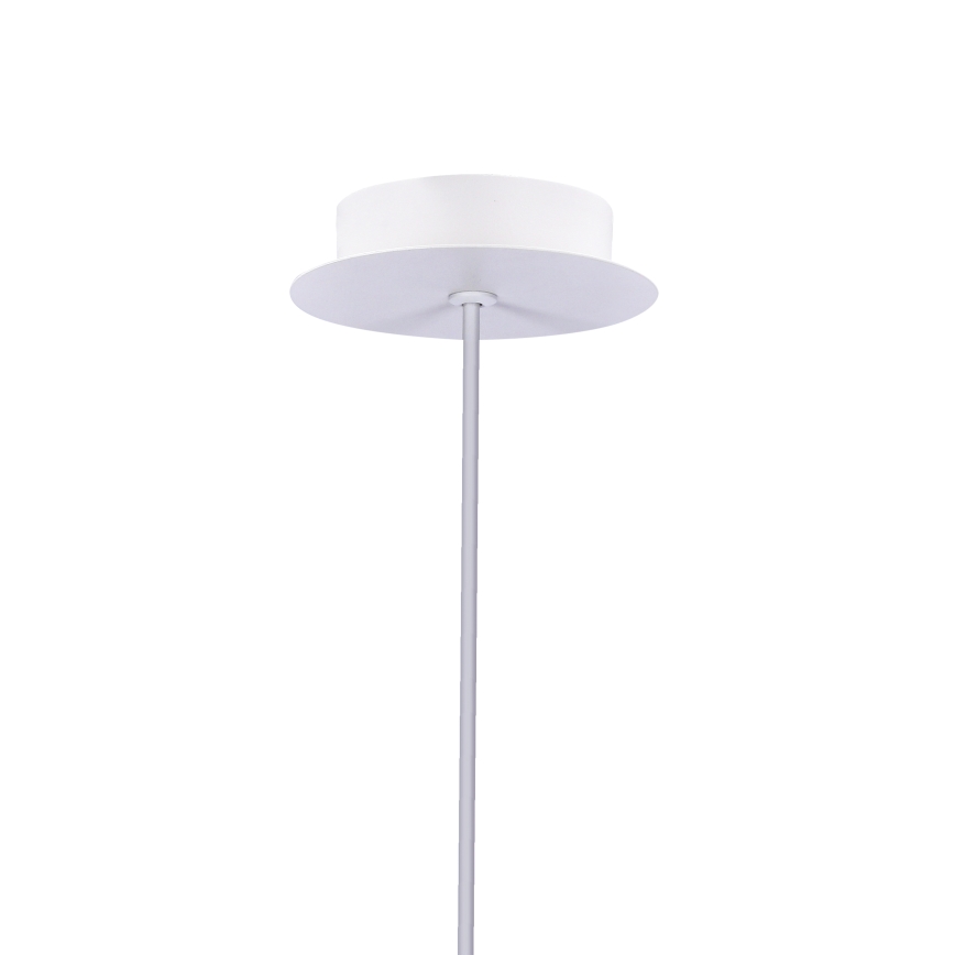 LED sietynas, kabinamas ant virvės MODENA LED/5W/230V
