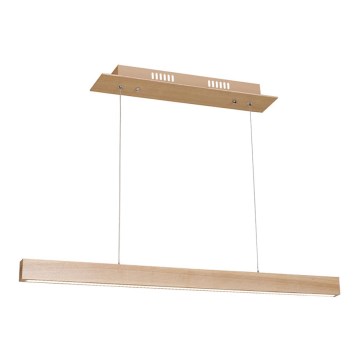 LED sietynas, kabinamas ant virvės TIMBER LED/18W/230V