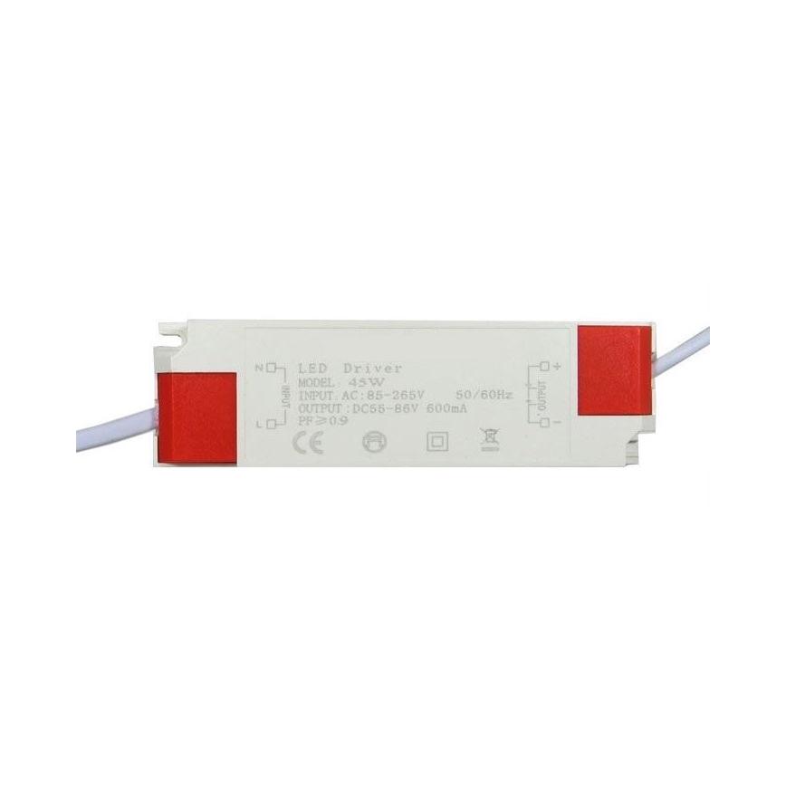 LED Skydelis 2in1 LED/40W/230V 6000K 60x60 cm