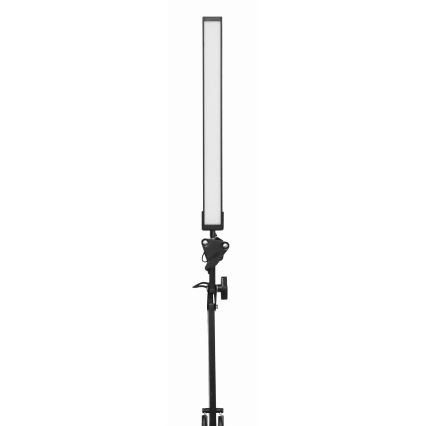 LED stalinis šviestuvas su gnybtu LED/10W/230V 2800-6800K