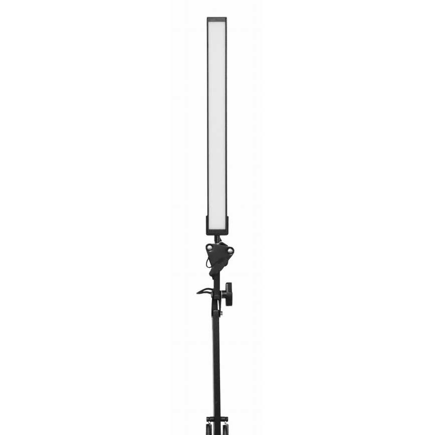LED stalinis šviestuvas su gnybtu LED/10W/230V 2800-6800K