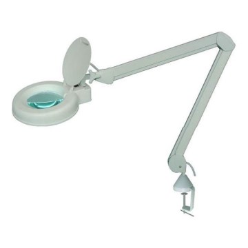 LED stalo šviestuvas su lupa LED/5W/230V 6000K balta