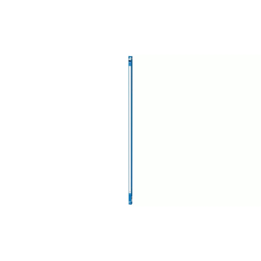 LED šviesos vamzdelis Philips T8 G13/31,5W/230V 3000K 150 cm