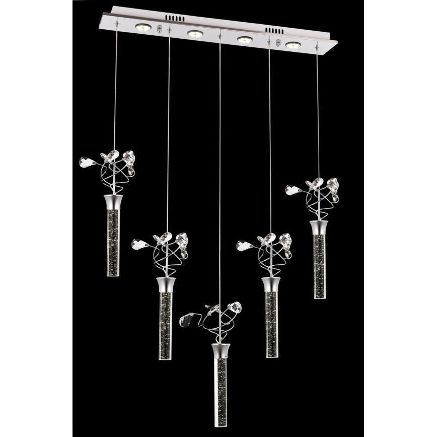 LED šviestuvas ant laido PIGEON 5xLED/6W/230V 6500K blizgus chromas