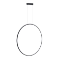 LED šviestuvas ant laido SATURNO LED/46W/230V skersmuo 80 cm IP44 antracitas