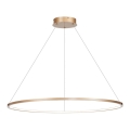 LED šviestuvas ant laido SATURNO LED/57W/230V skersmuo 100 cm IP44 auksinė