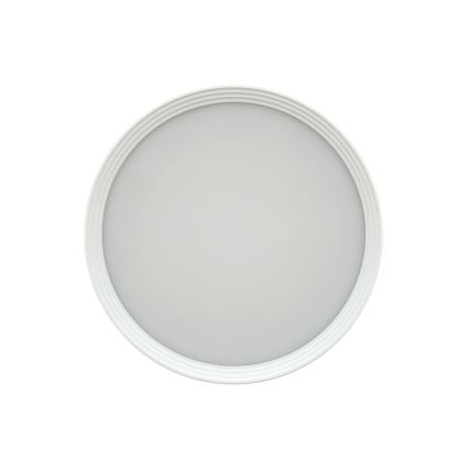 LED taškinis šviestuvas LED/10W/230V 3000/4000/6400K skersmuo 12 cm baltas