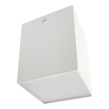 LED taškinis šviestuvas LED/5W/230V 3000/4000/6400K 7,5x7,5 cm balta
