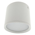 LED taškinis šviestuvas LED/5W/230V 3000/4000/6400K, skersmuo 7,5 cm, baltas