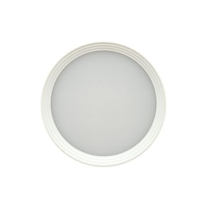 LED taškinis šviestuvas LED/5W/230V 3000/4000/6400K, skersmuo 7,5 cm, baltas