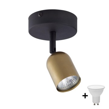LED taškinis šviestuvas TOP 1xGU10/10W/230V auksinis/juodas