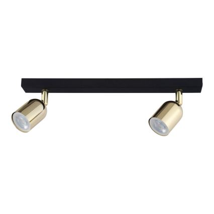 LED taškinis šviestuvas TOP 2xGU10/10W/230V juodas/auksinis