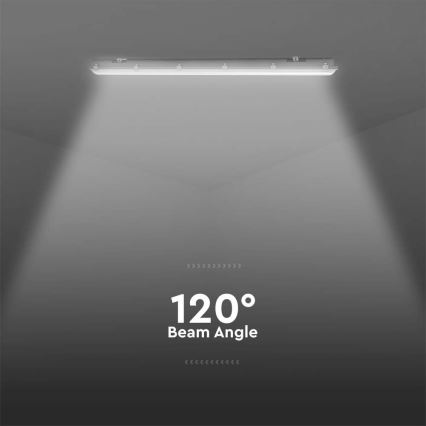 LED techninis fluorescencinis šviestuvas su judesio ir sutemų jutikliu LED/48W/230V IP65 6500K 150 cm