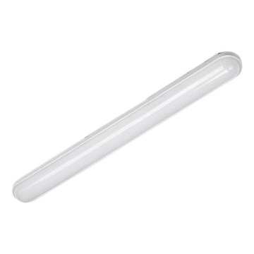 LED techninis šviestuvas LED/18W/230V 4200K 60 cm IP65