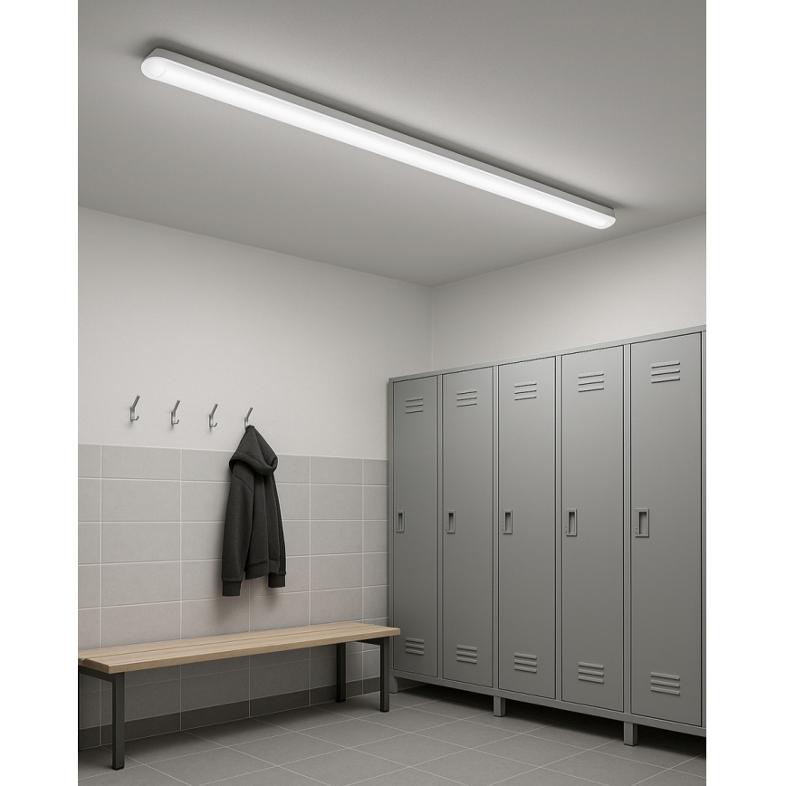LED techninis šviestuvas LED/48W/230V 4200K 150 cm IP65