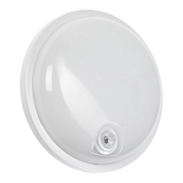 LED techninis šviestuvas su PIR jutikliu LED/20W/230V IP54