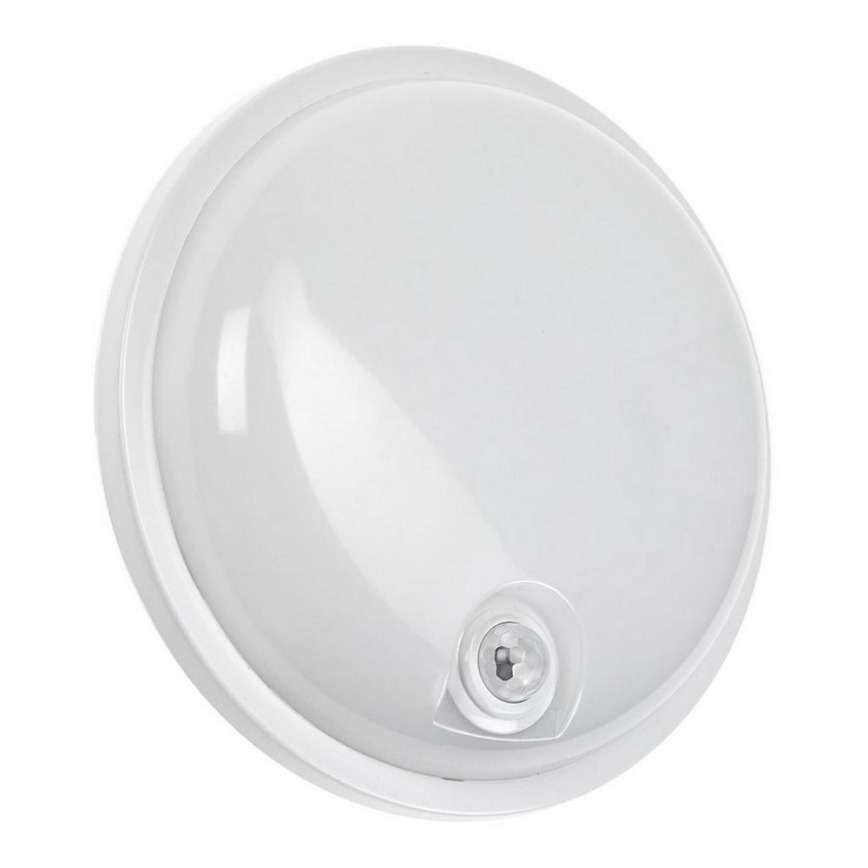 LED techninis šviestuvas su PIR jutikliu LED/20W/230V IP54