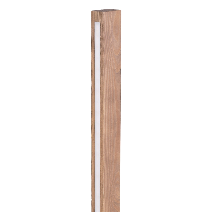 LED Toršeras TEO LED/30W/230V medis