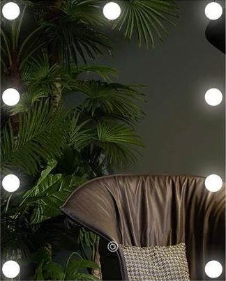 LED Veidrodis Su apšvietimas 9xLED/1W/230V 3000/4000/6000K 50x40 cm IP44