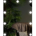 LED Veidrodis su apšvietimu 9xLED/1W/230V 3000/4000/6000K 50x40 cm IP44