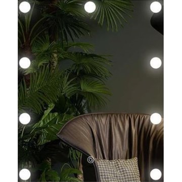 LED Veidrodis su apšvietimu 9xLED/1W/230V 3000/4000/6000K 50x40 cm IP44