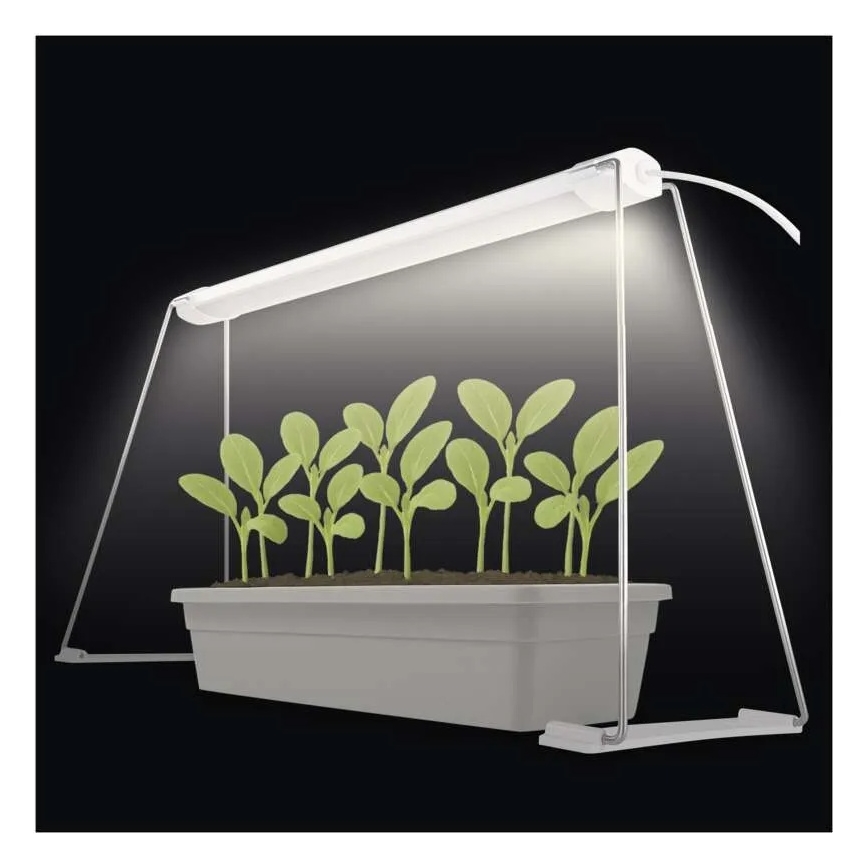 LED vidaus lempa augalų auginimui GROW LED/15W/230V