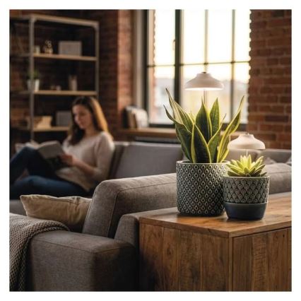 LED vidaus lempa augalų auginimui GROW LED/5W/5V