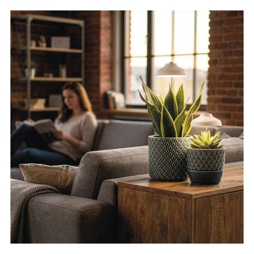 LED vidaus lempa augalų auginimui GROW LED/5W/5V