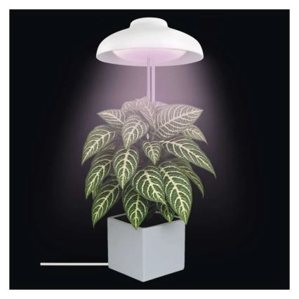 LED vidaus lempa augalų auginimui GROW LED/5W/5V