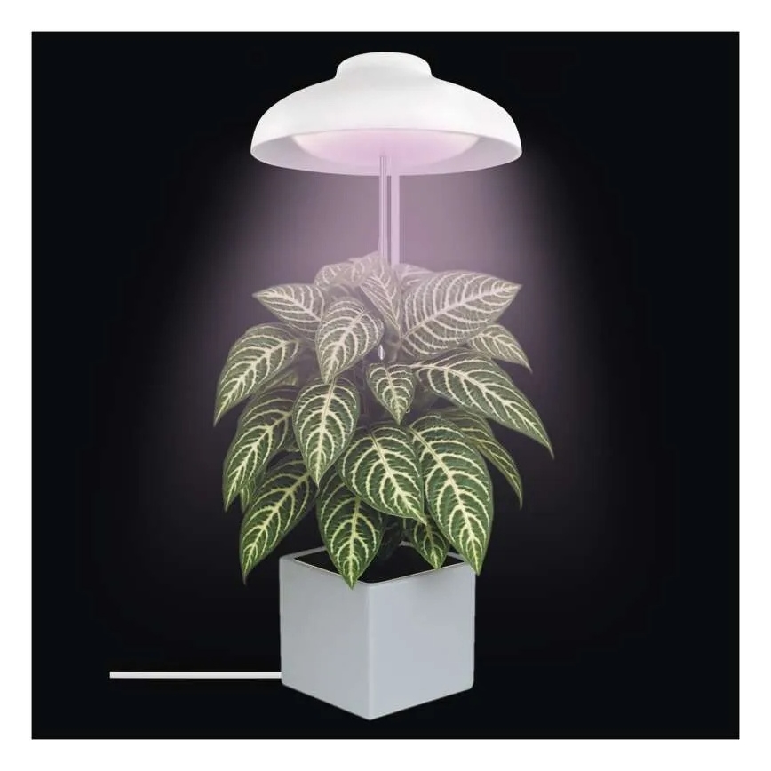 LED vidaus lempa augalų auginimui GROW LED/5W/5V