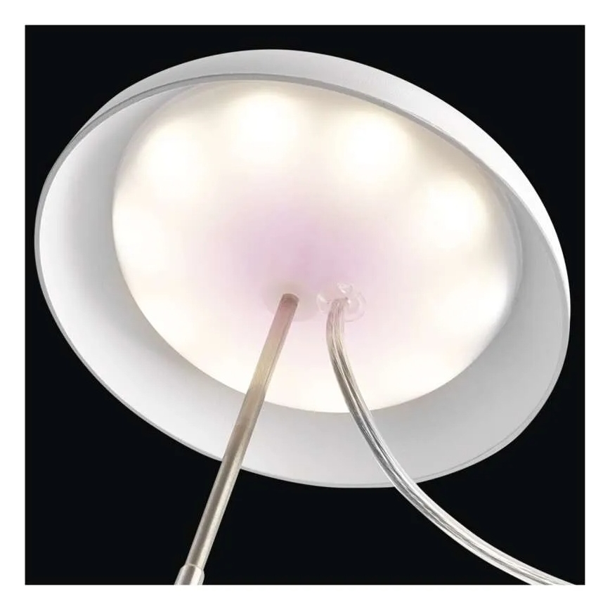 LED vidaus lempa augalų auginimui GROW LED/5W/5V