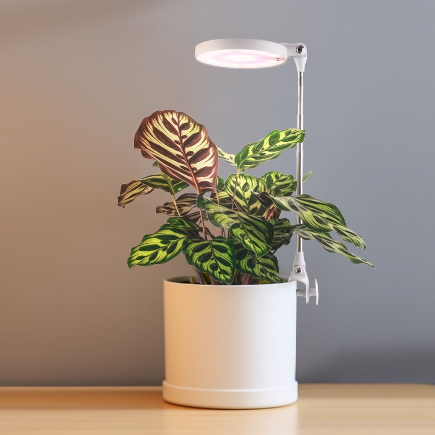 LED Vidaus šviestuvas augalams auginti LED/10W/5V 3200K