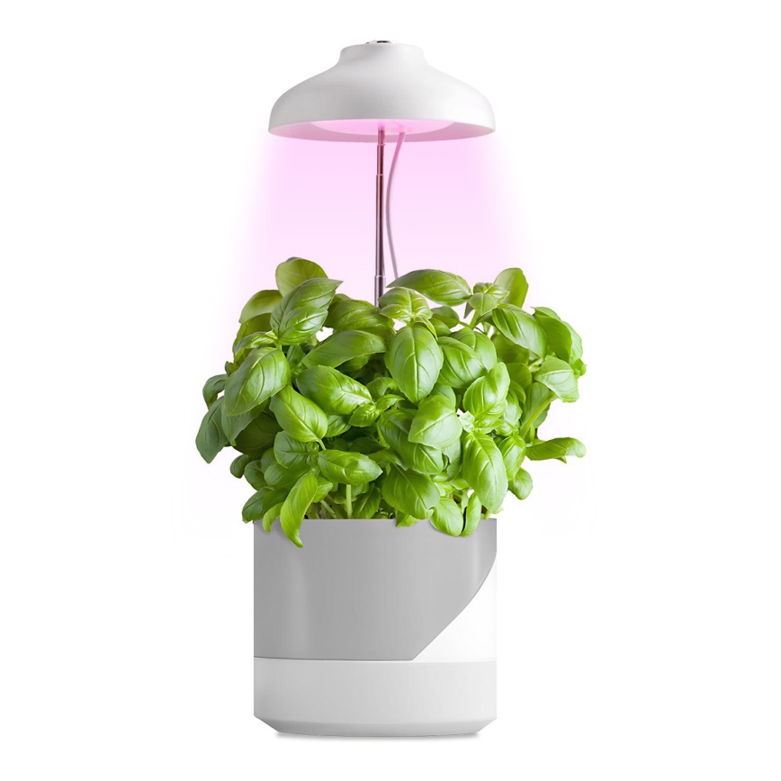 LED Vidaus šviestuvas augalams auginti LED/5W/5V 3200K