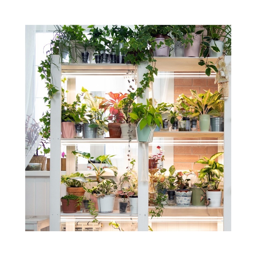 LED virtuvės šviestuvas, kabinamas po spintele augalams auginti GROWLY 2xLED/8,5W/230V balta
