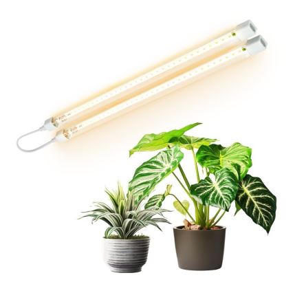 LED virtuvės šviestuvas, kabinamas po spintele augalams auginti GROWLY 2xLED/8,5W/230V balta