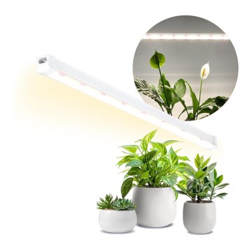 LED virtuvės šviestuvas, kabinamas po spintele augalams auginti GROWLY LED/15W/230W