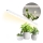 LED virtuvės šviestuvas, kabinamas po spintele augalams auginti GROWLY LED/15W/230W