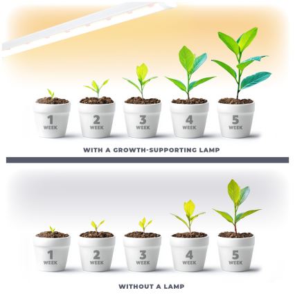 LED virtuvės šviestuvas, kabinamas po spintele augalams auginti GROWLY LED/15W/230W