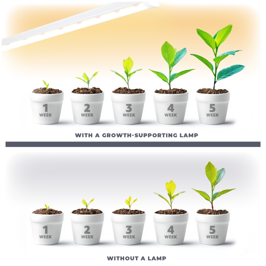LED virtuvės šviestuvas, kabinamas po spintele augalams auginti GROWLY LED/15W/230W