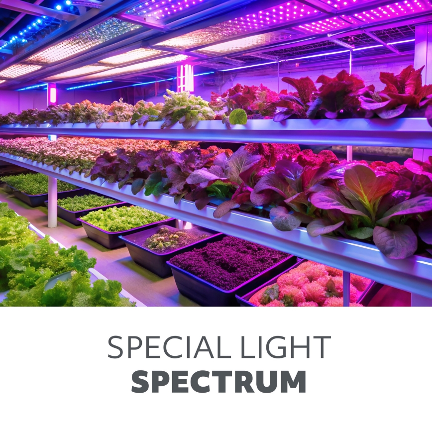 LED virtuvės šviestuvas, kabinamas po spintele augalams auginti GROWLY LED/15W/230W
