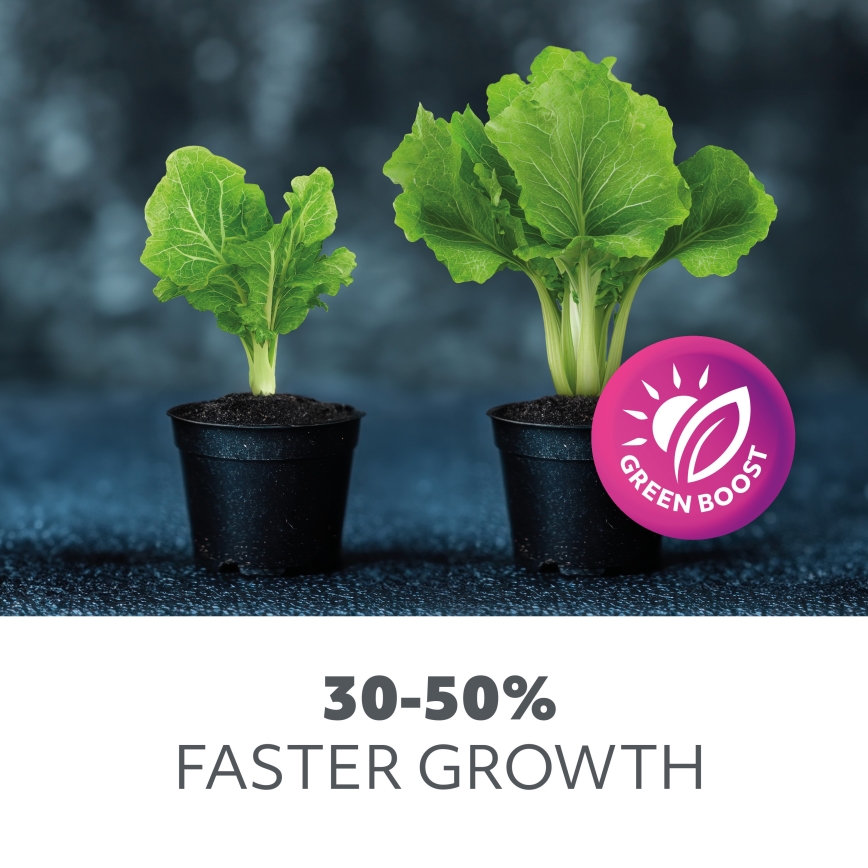 LED virtuvės šviestuvas, kabinamas po spintele augalams auginti GROWLY LED/15W/230W